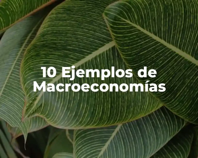 10 Ejemplos de Macroeconomías