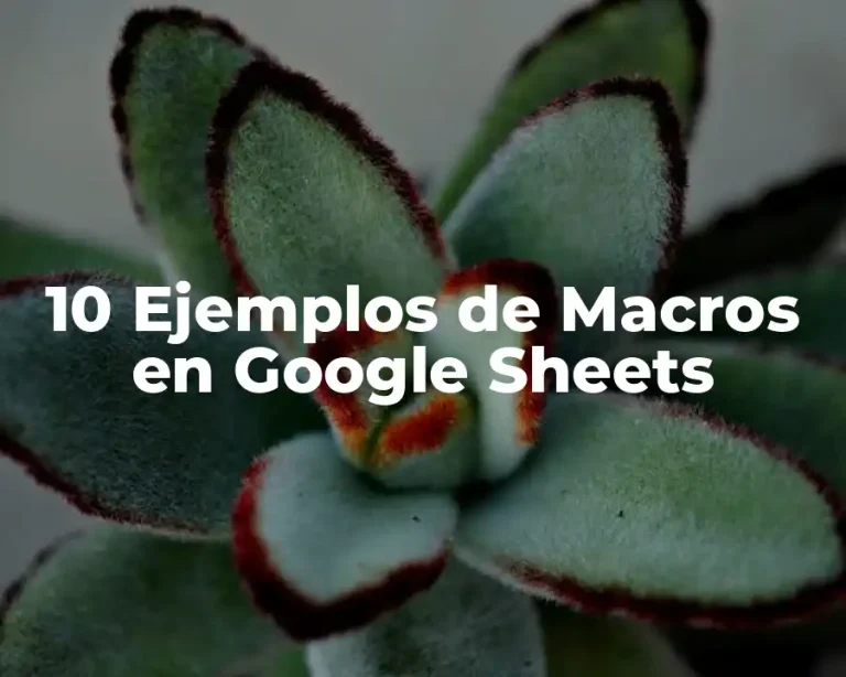 10 Ejemplos de Macros en Google Sheets