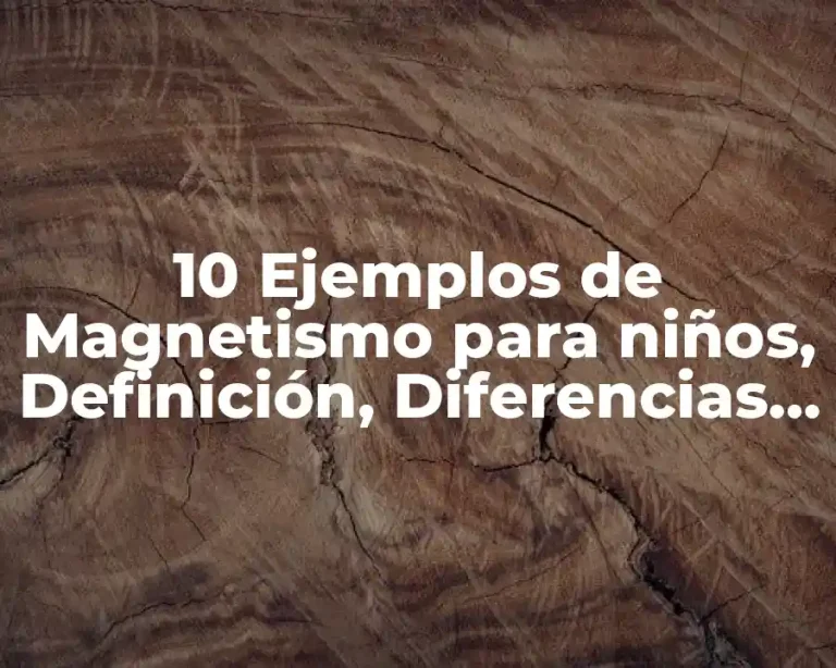 10 Ejemplos de Magnetismo para niños, Definición, Diferencias y para que sirve