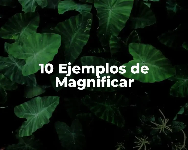 10 Ejemplos de Magnificar