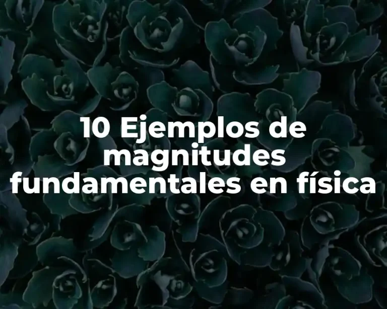 10 Ejemplos de magnitudes fundamentales en física