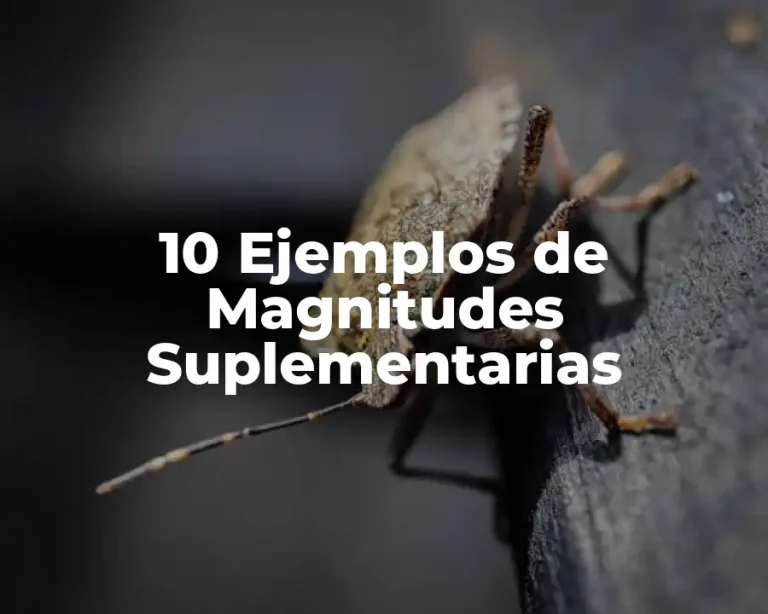 10 Ejemplos de Magnitudes Suplementarias
