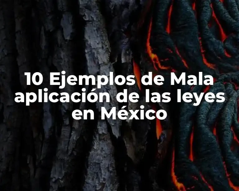 10 Ejemplos de Mala aplicación de las leyes en México