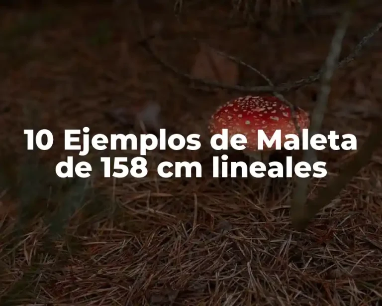 10 Ejemplos de Maleta de 158 cm lineales