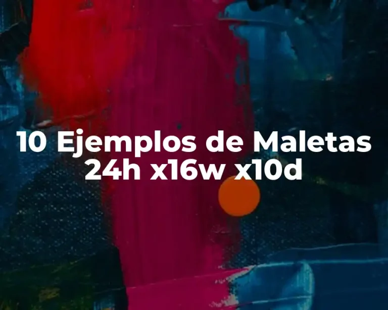 10 Ejemplos de Maletas 24h x16w x10d