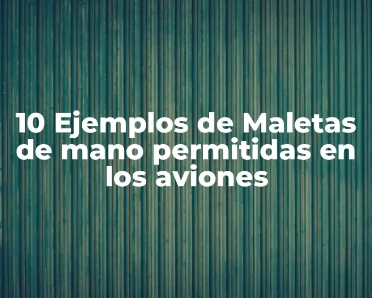 10 Ejemplos de Maletas de mano permitidas en los aviones