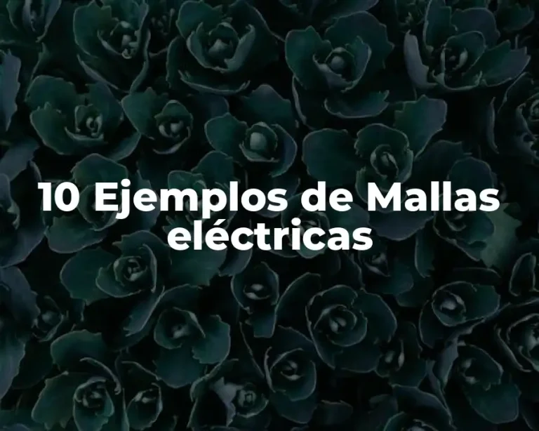 10 Ejemplos de Mallas eléctricas