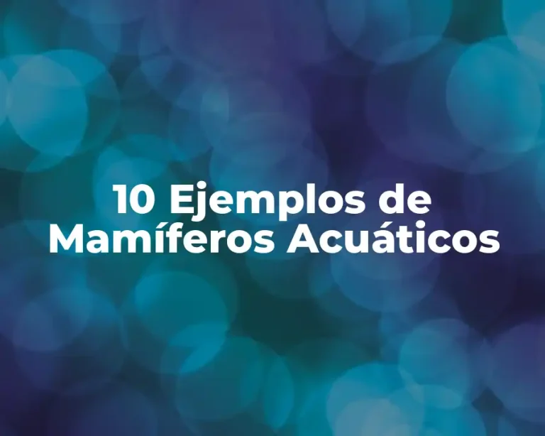 10 Ejemplos de Mamíferos Acuáticos