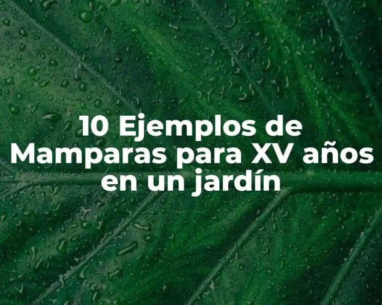 10 Ejemplos de Mamparas para XV años en un jardín