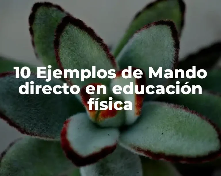10 Ejemplos de Mando directo en educación física