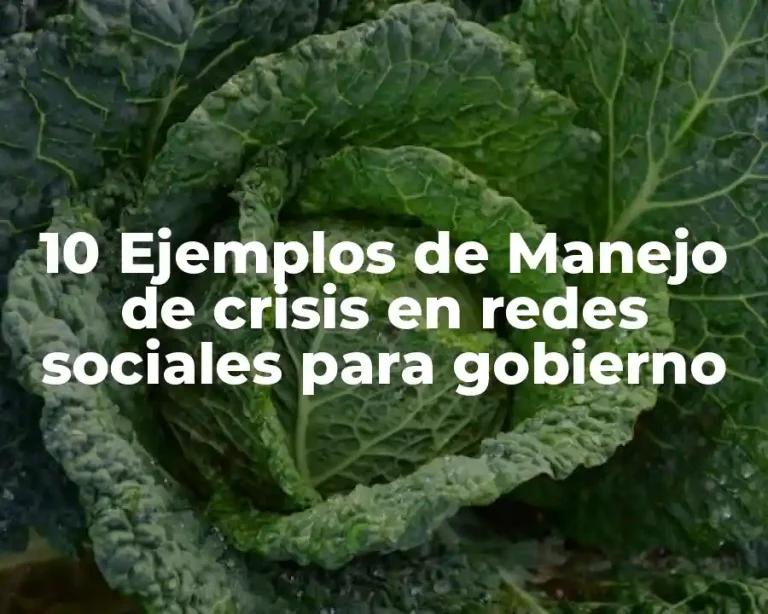 10 Ejemplos de Manejo de crisis en redes sociales para gobierno