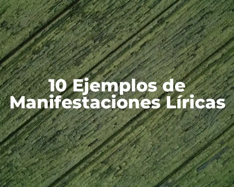 10 Ejemplos de Manifestaciones Líricas