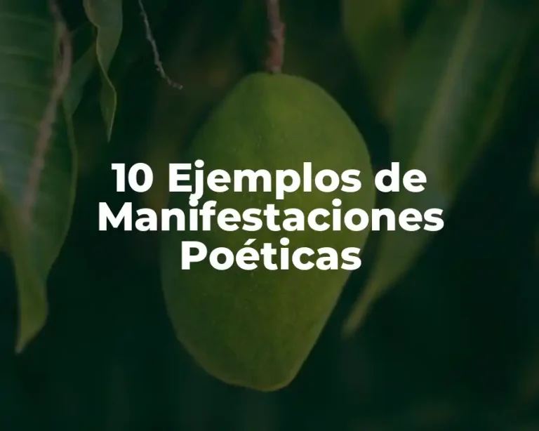10 Ejemplos de Manifestaciones Poéticas