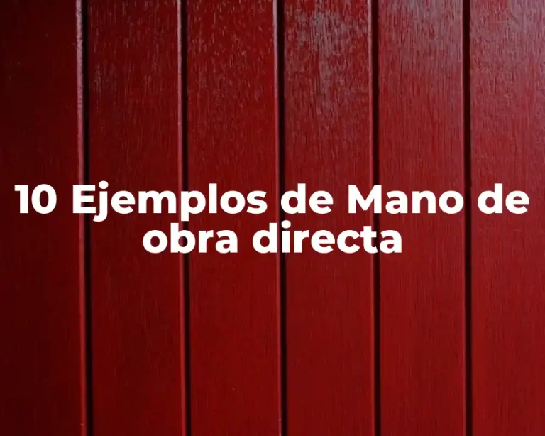 10 Ejemplos de Mano de obra directa
