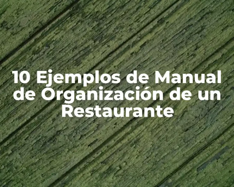 10 Ejemplos de Manual de Organización de un Restaurante