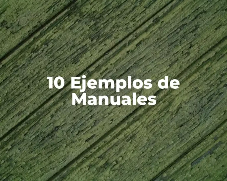 10 Ejemplos de Manuales