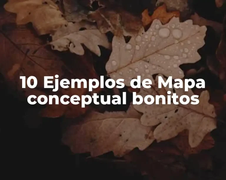 10 Ejemplos de Mapa conceptual bonitos