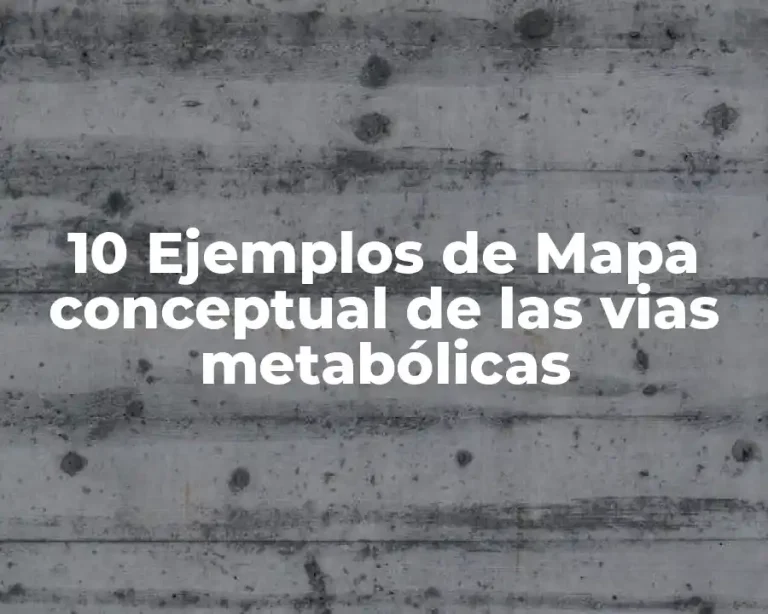 10 Ejemplos de Mapa conceptual de las vias metabólicas