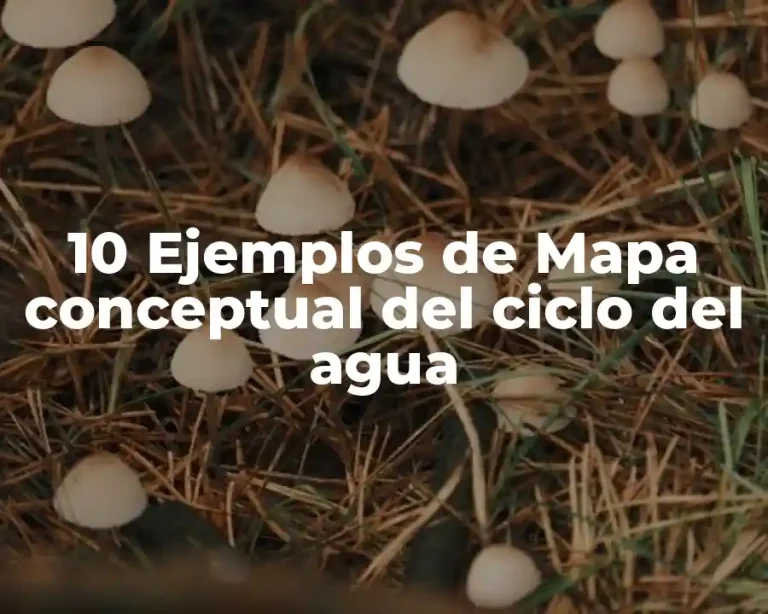 10 Ejemplos de Mapa conceptual del ciclo del agua