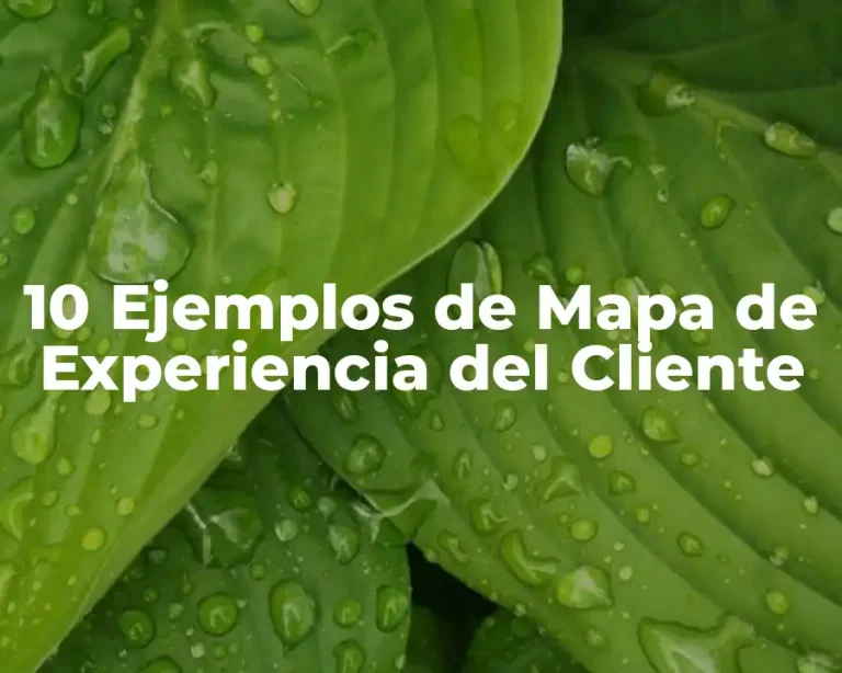 10 Ejemplos de Mapa de Experiencia del Cliente