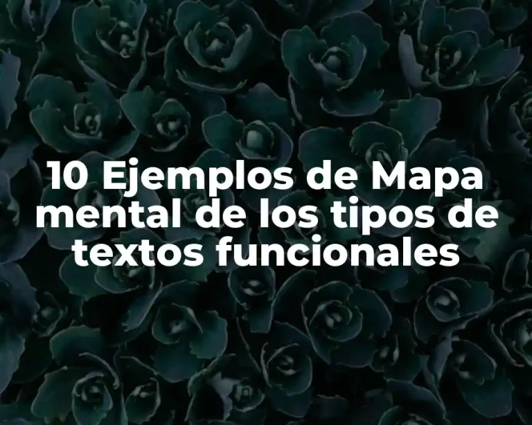 10 Ejemplos de Mapa mental de los tipos de textos funcionales