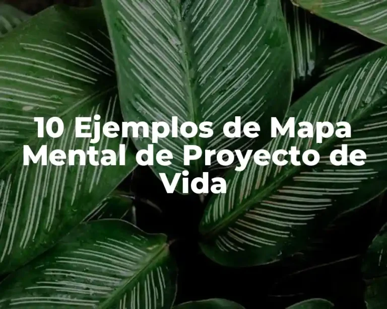 10 Ejemplos de Mapa Mental de Proyecto de Vida
