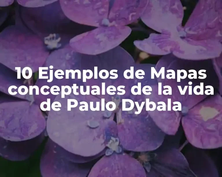 10 Ejemplos de Mapas conceptuales de la vida de Paulo Dybala