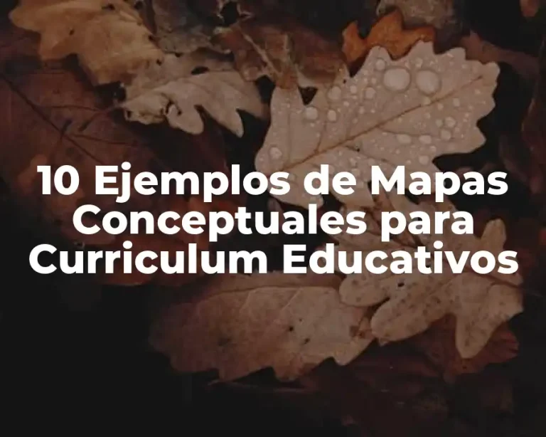 10 Ejemplos de Mapas Conceptuales para Curriculum Educativos