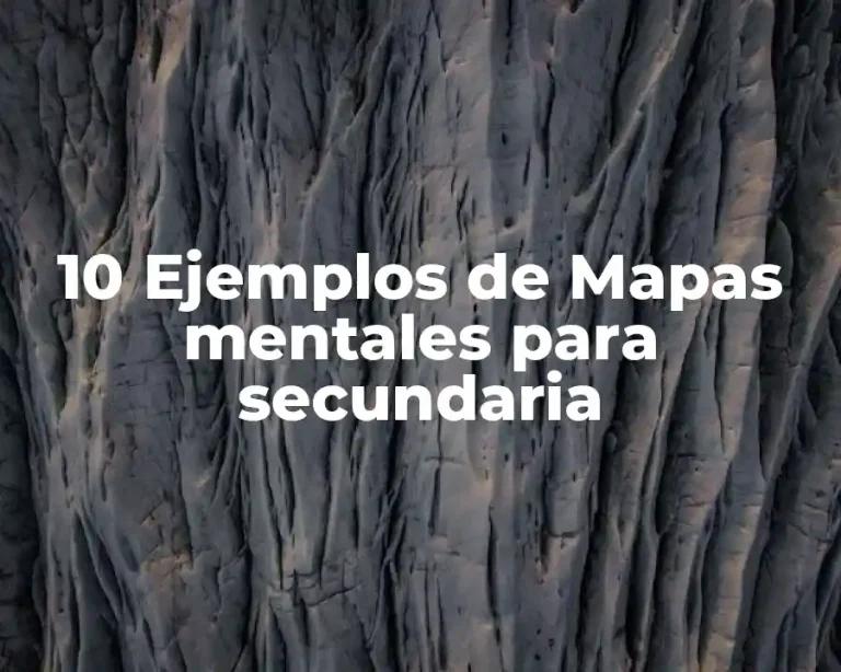 10 Ejemplos de Mapas mentales para secundaria