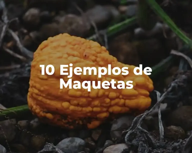 10 Ejemplos de Maquetas