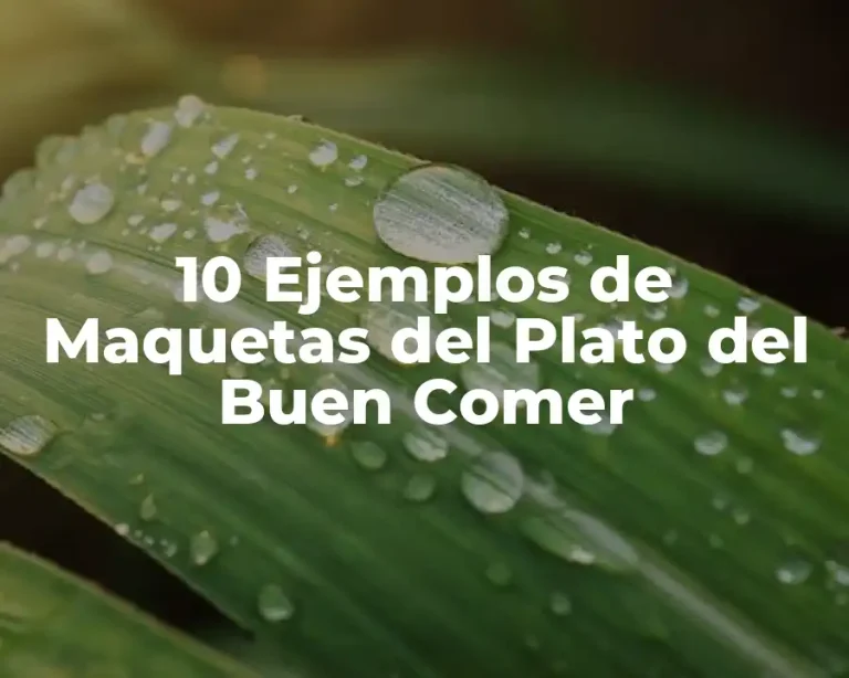 10 Ejemplos de Maquetas del Plato del Buen Comer