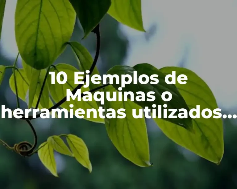 10 Ejemplos de Maquinas o herramientas utilizados en ciencia robotica