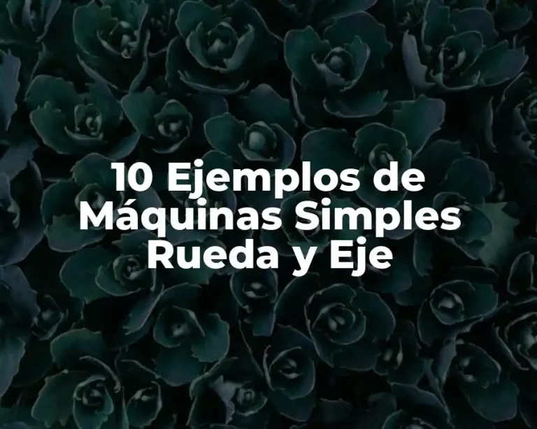 10 Ejemplos de Máquinas Simples Rueda y Eje