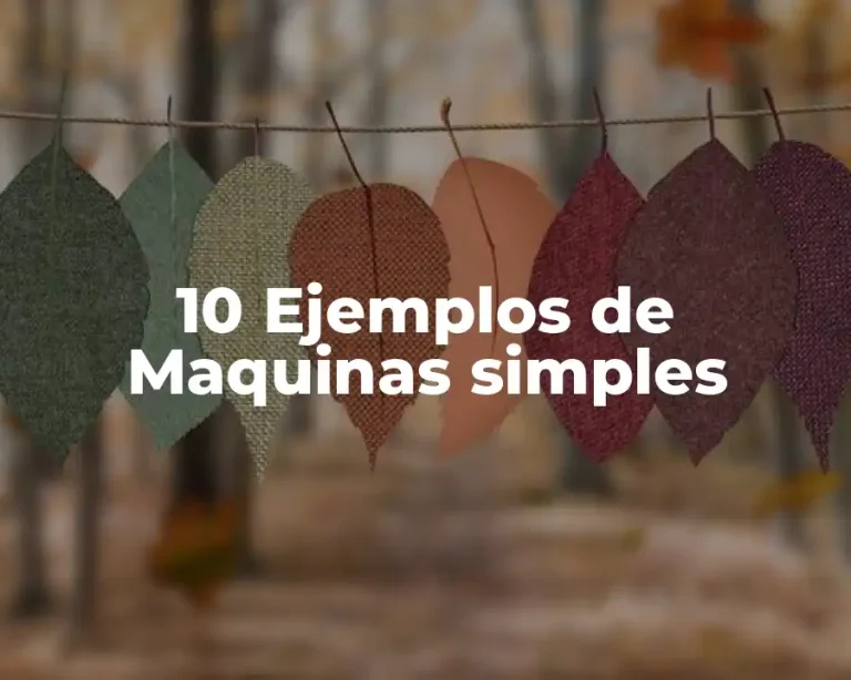 10 Ejemplos de Maquinas simples