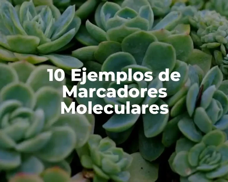 10 Ejemplos de Marcadores Moleculares