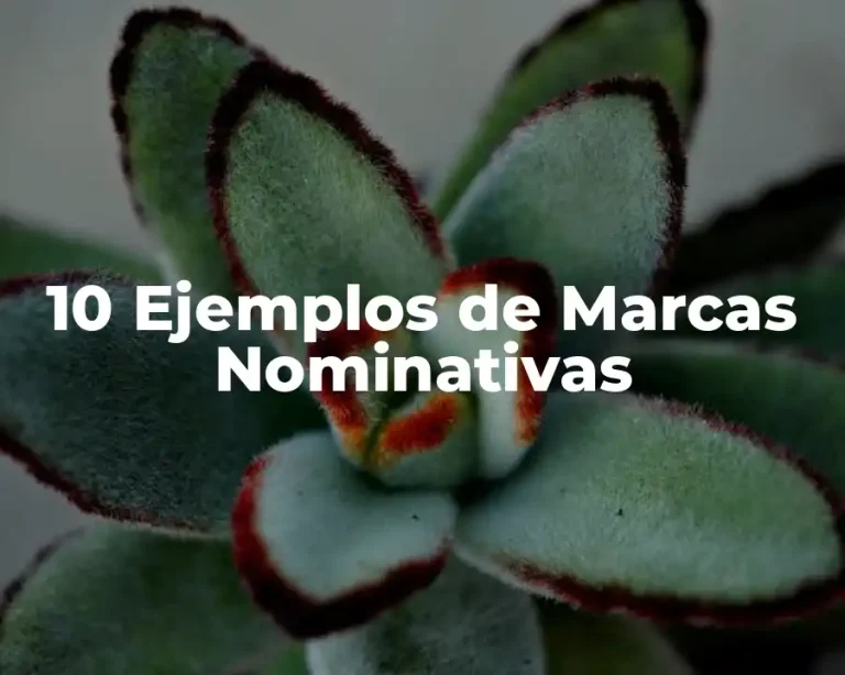 10 Ejemplos de Marcas Nominativas