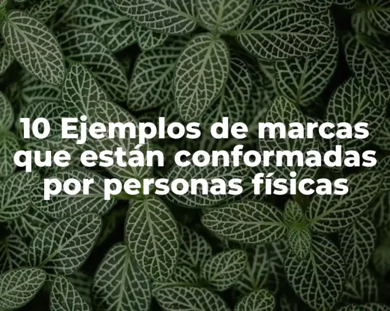 10 Ejemplos de marcas que están conformadas por personas físicas