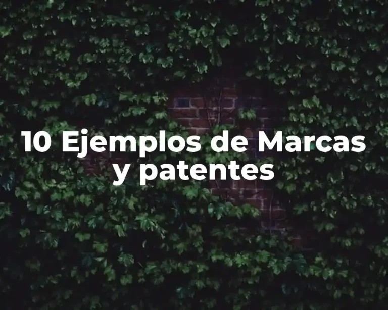 10 Ejemplos de Marcas y patentes