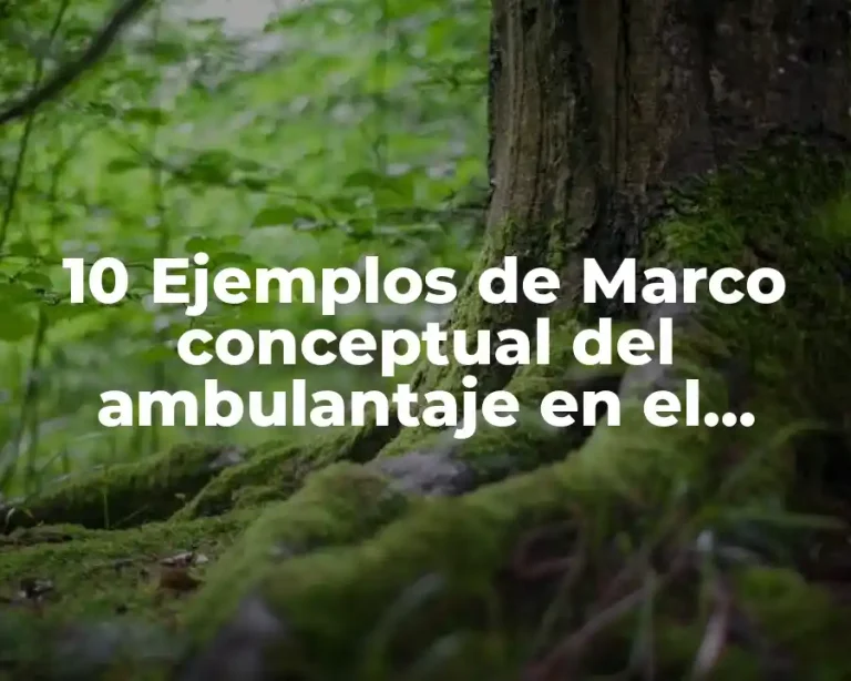 10 Ejemplos de Marco conceptual del ambulantaje en el centro