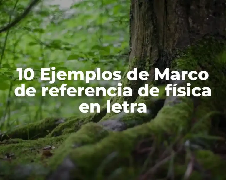 10 Ejemplos de Marco de referencia de física en letra