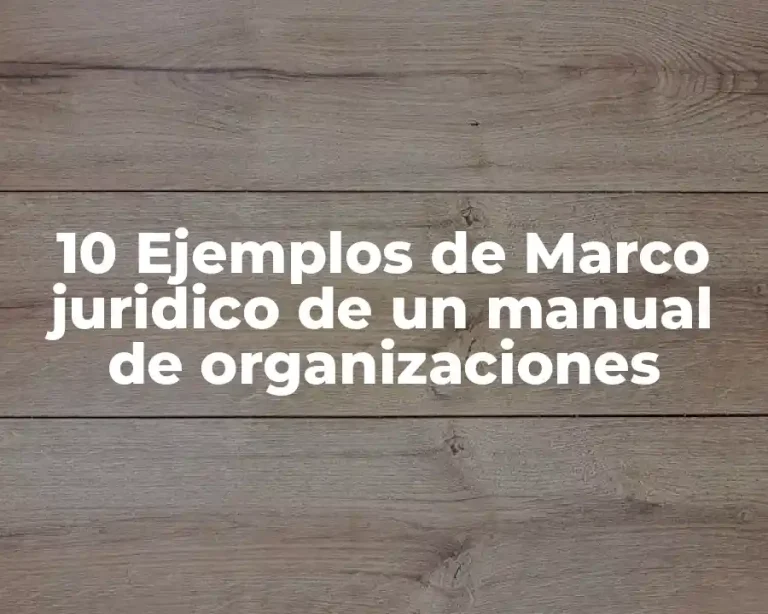 10 Ejemplos de Marco juridico de un manual de organizaciones