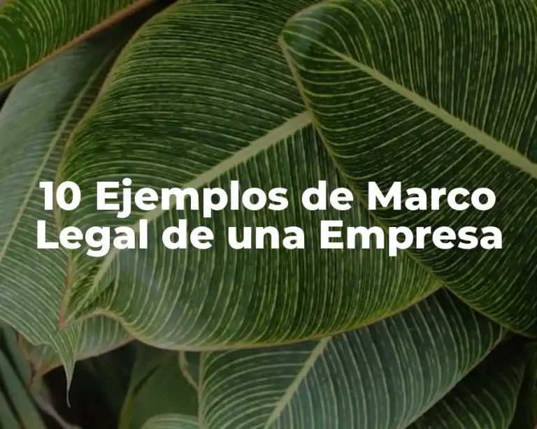 10 Ejemplos de Marco Legal de una Empresa