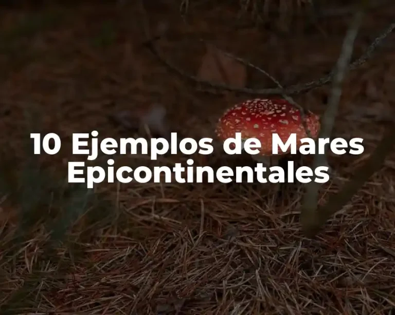 10 Ejemplos de Mares Epicontinentales