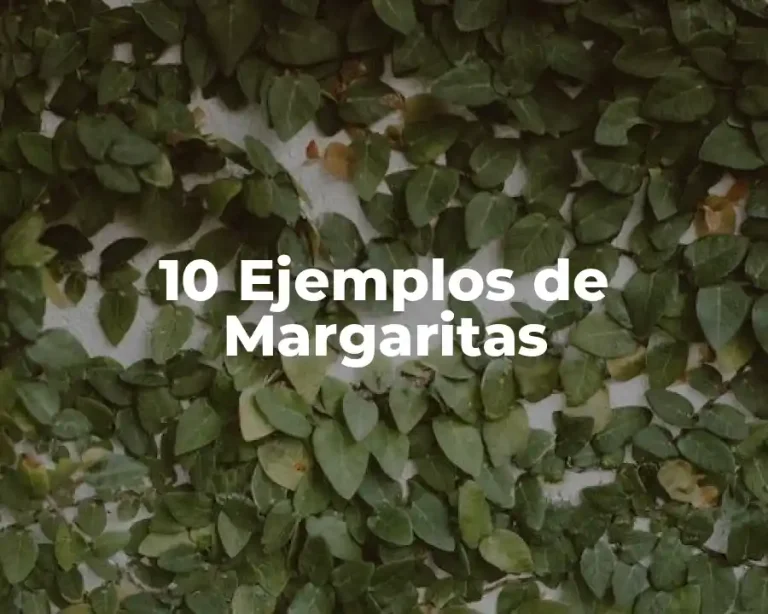 10 Ejemplos de Margaritas
