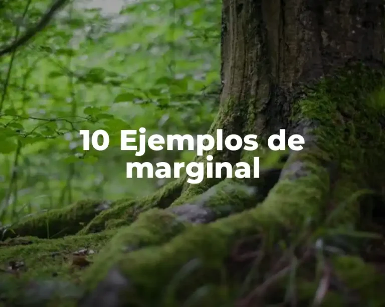 10 Ejemplos de marginal