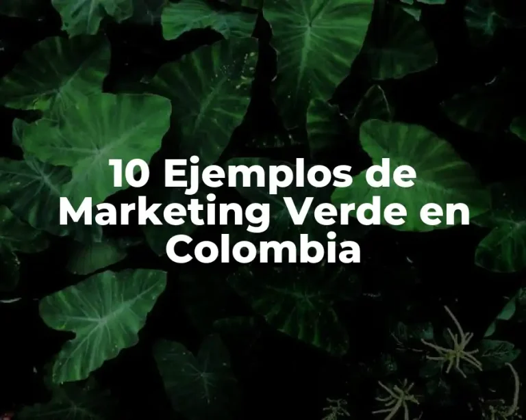 10 Ejemplos de Marketing Verde en Colombia