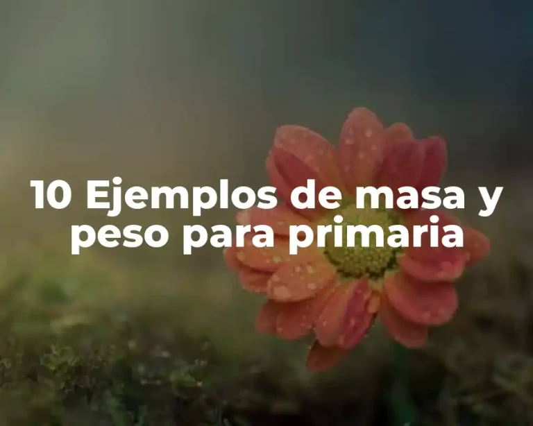 10 Ejemplos de masa y peso para primaria