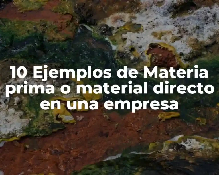 10 Ejemplos de Materia prima o material directo en una empresa
