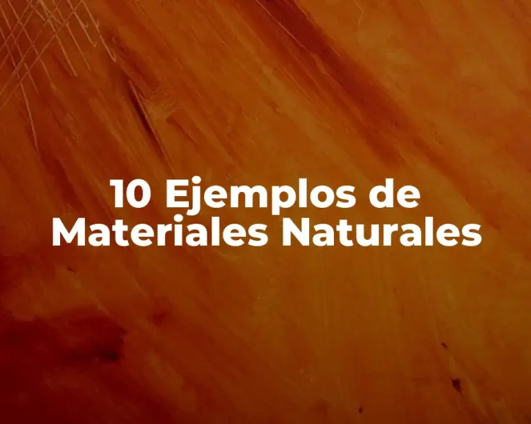 10 Ejemplos de Materiales Naturales