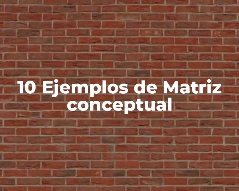 10 Ejemplos de Matriz conceptual